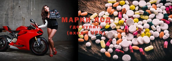молекула духа Арсеньев