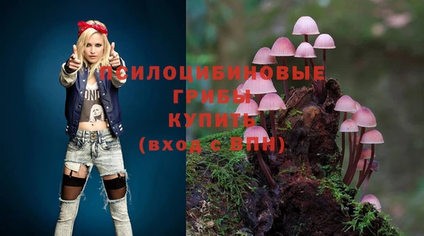 не бодяженный Аркадак